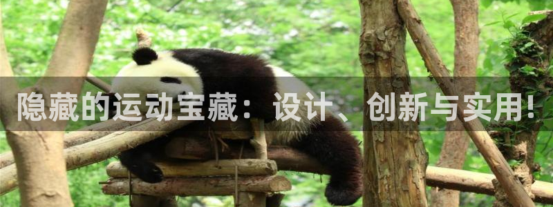 意昂体育4招商电话号码查询是多少:隐藏的运动宝藏:设计、创新