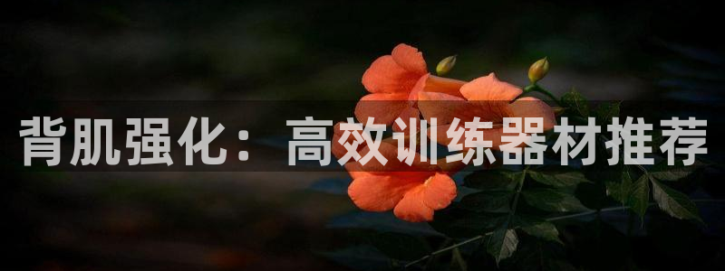 意昂4集团E.ON:背肌强化:高效训练器材推荐