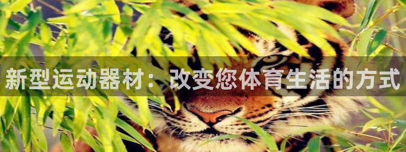 意昂4官方:新型运动器材:改变您体育生活的方式