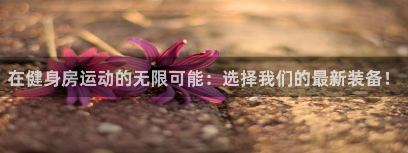 意昂体育4招商电话号码查询:在健身房运动的无限可能:选择我们